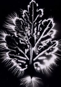 8355E5FE-7531-4805-827F-B7A2903A1FA3