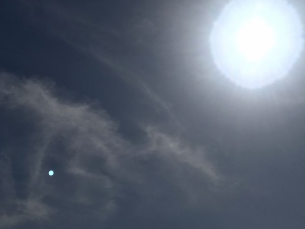 56DF7A1B-B503-414E-B2CC-37423AF79080