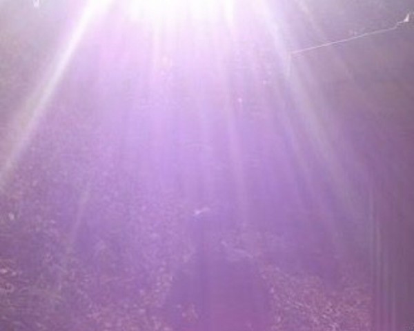 4362E604-9DC6-4479-BA00-BCFB2100725D