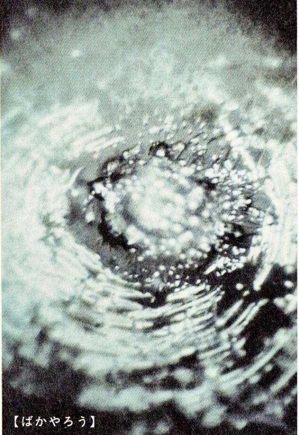 73209032-AA03-4A01-A646-3B986938DEBE