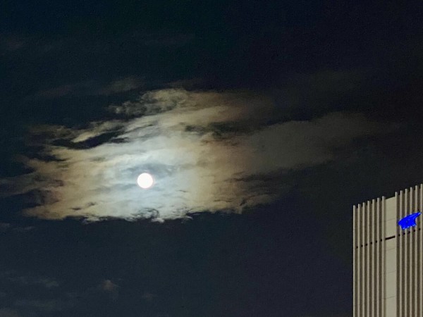 7DD4D127-7466-4967-AADB-A0C66B912603