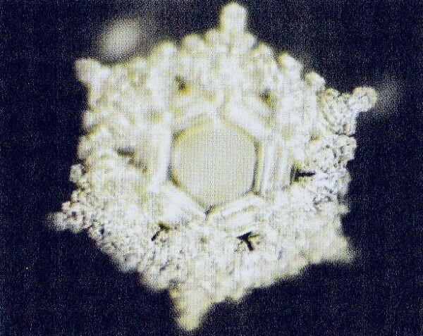 3B8F90DF-A03D-4E9A-82C8-422E00F0E530