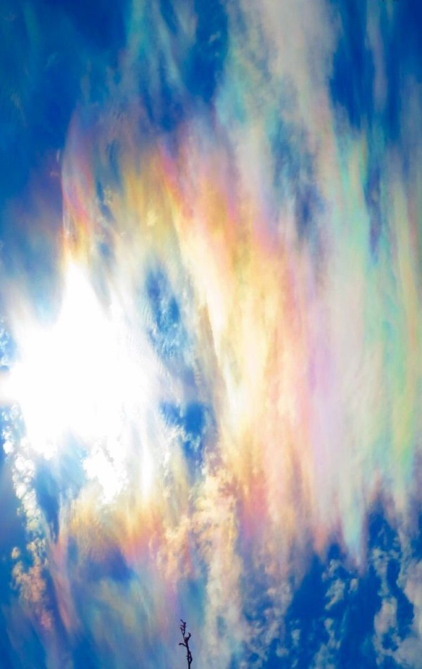 63B521BD-60EF-40D9-9CC2-DA545EB16E7B