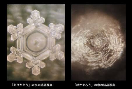10EEEA91-6761-440C-B717-2ADF3B71799C