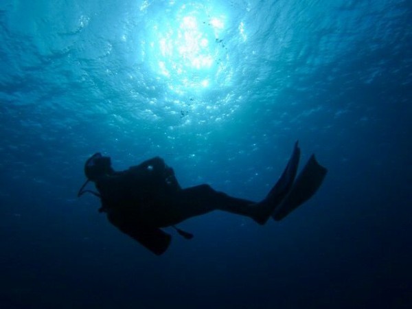 2EA769E9-FC2C-4E27-8427-4A44EED8DF64