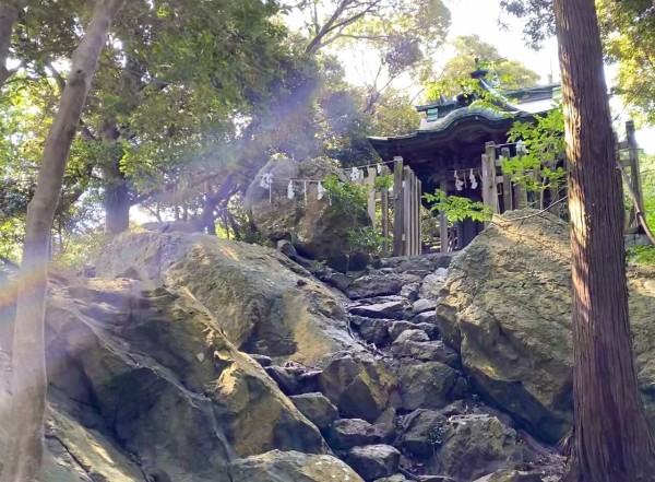 C5CA2125-7147-49A0-AA9D-42672EE1BD90