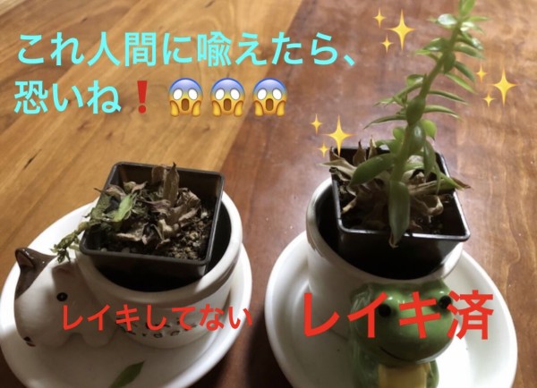 80AEF19C-2EB6-4A62-919A-78DB59331187