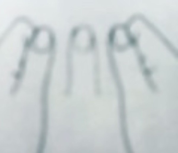 0A5A3953-85B1-40DE-8022-9B52D5BA9757