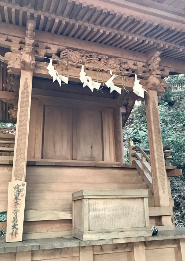 E84FAB3C-DF49-416F-A45D-9CC2091A7F3F