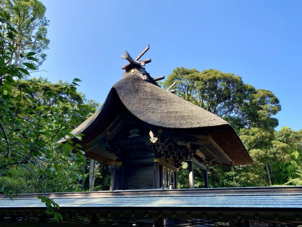 B206E199-DEDB-4E45-9AA2-DBB047CBBD34