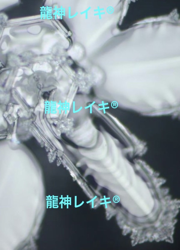 84F7A2F5-EF50-4925-B5E5-7E196B4892D3
