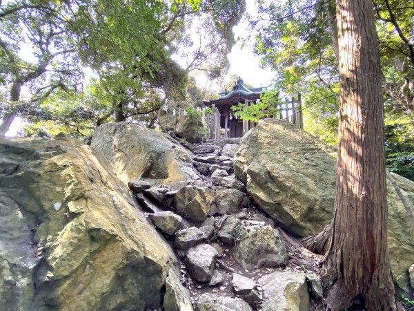 080E8F59-2477-4718-8A48-ACC0641E34DE