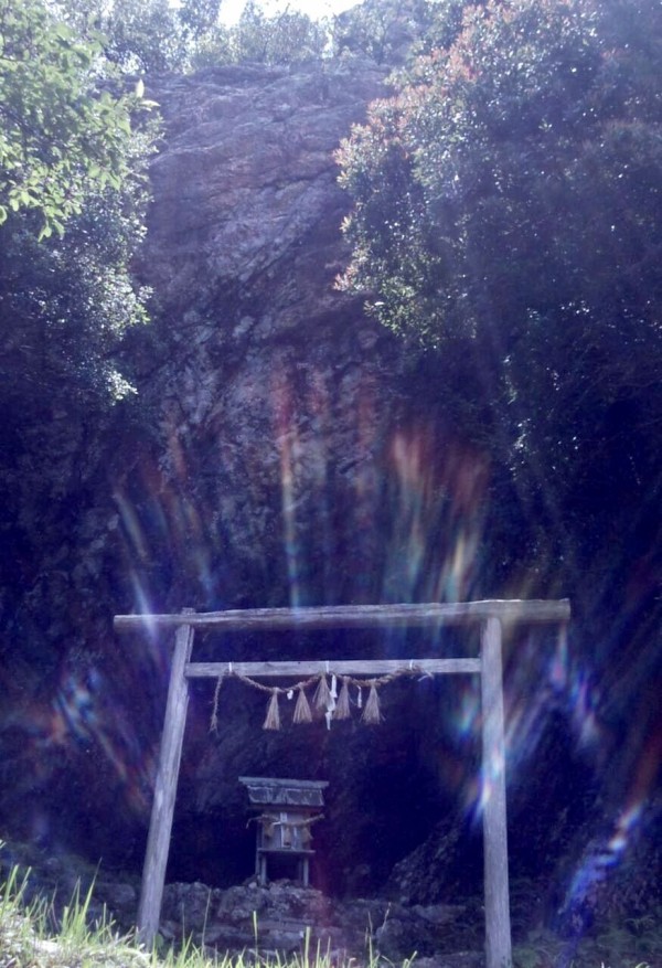 77F6FD58-8F9D-4F47-8A58-8DEDBDA2B7AE