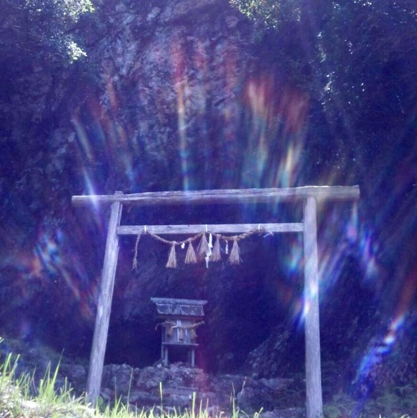 37D9D25A-F24D-48E0-9F4A-E49F97526B34