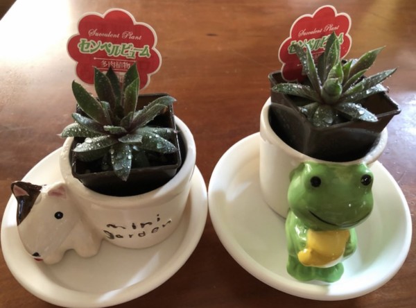 A7236186-72DF-4EB1-8F67-4004AF1AEBC8