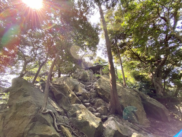 FD3E4E5C-02D2-47E2-9E99-1256783272C2