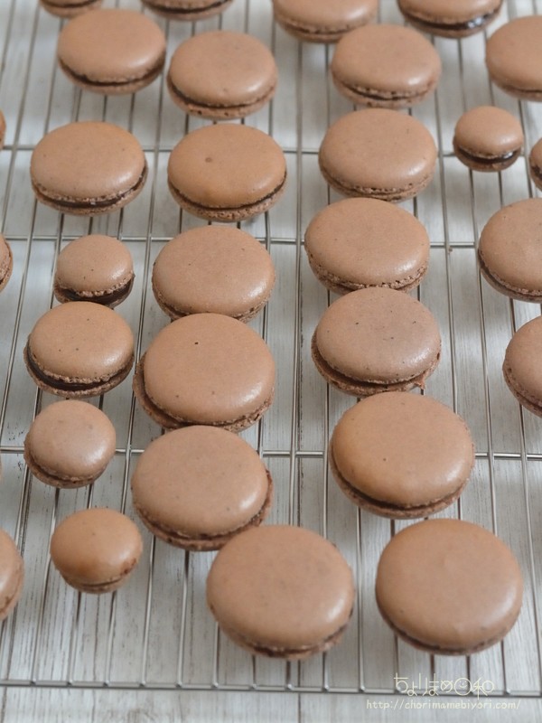 チョコマカロン。【最強ガイドマットで楽々】～気張らず折れない心が