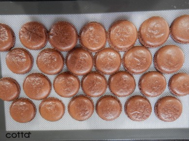 チョコマカロン。【最強ガイドマットで楽々】～気張らず折れない心が