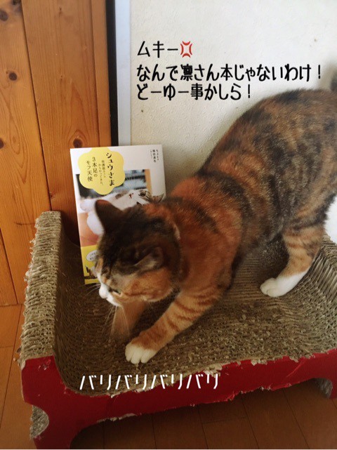 シュウさま専用ページ シュウさま本 2回目更新 : 猫とお酒と日々のこと Powered by