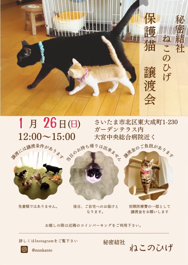 シュウさま専用ページ 整うシュウさま : 猫とお酒と日々のこと Powered by ライブドア