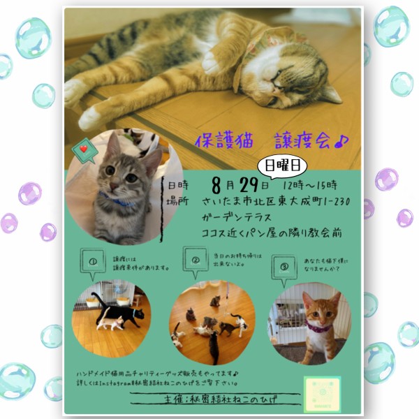 パンデミックゥゥゥ : 猫とお酒と日々のこと Powered by ライブドアブログ