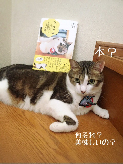 シュウさま本 2回目更新 : 猫とお酒と日々のこと Powered by