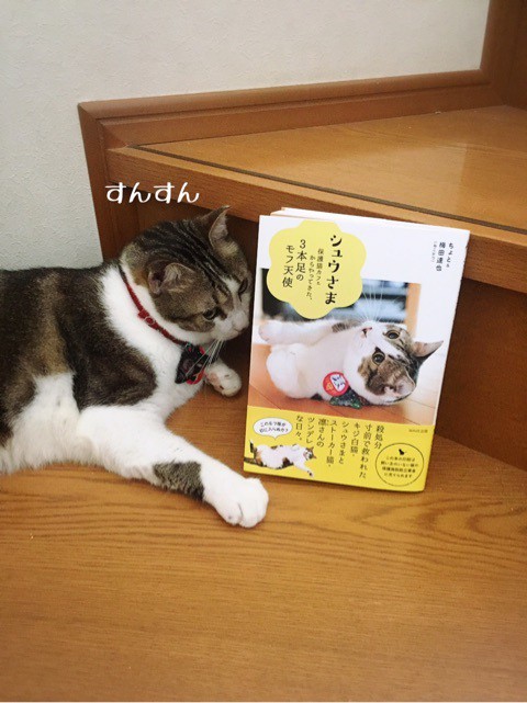 シュウさま専用ページ シュウさま本 2回目更新 : 猫とお酒と日々のこと Powered by