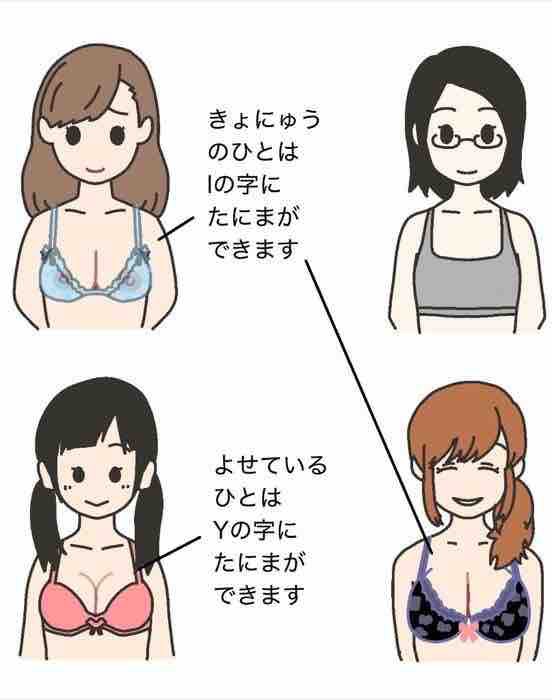 本当に巨乳か 寄せてるだけか を胸の谷間で判断する方法 あごひげ海賊団