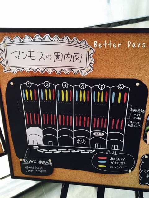 いちご狩り Better Days