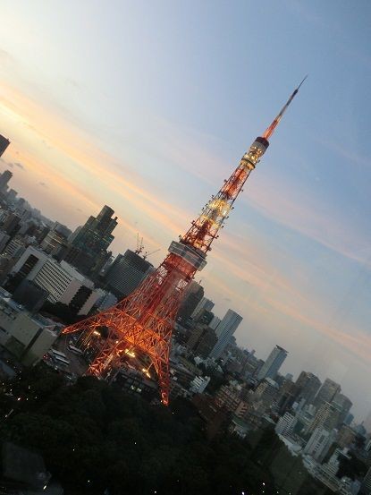 東京の夜景も素敵 ザ プリンスパークタワーステラガーデン Ciel オフィシャルブログ 月に一度の世界スパ ホテル巡り Powered By ライブドアブログ