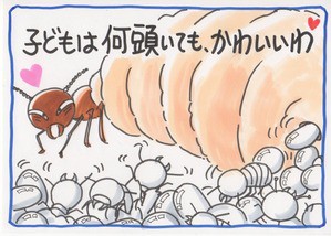 シロアリの一生 知りたくないかもしれませんが くらら日記
