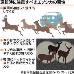 北海道 シカと車衝突 道央で急増 夕方から朝 が9割 群れで移動する習性があり 連続して飛び出してくる 1頭見たら減速を クラーク速報