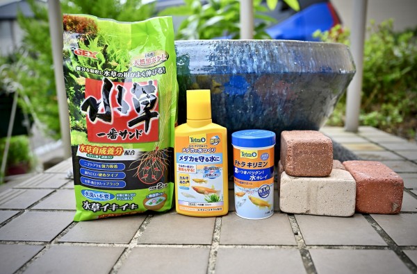 スイレン鉢 水草ビオトープセッティング クリントンのひとりごと