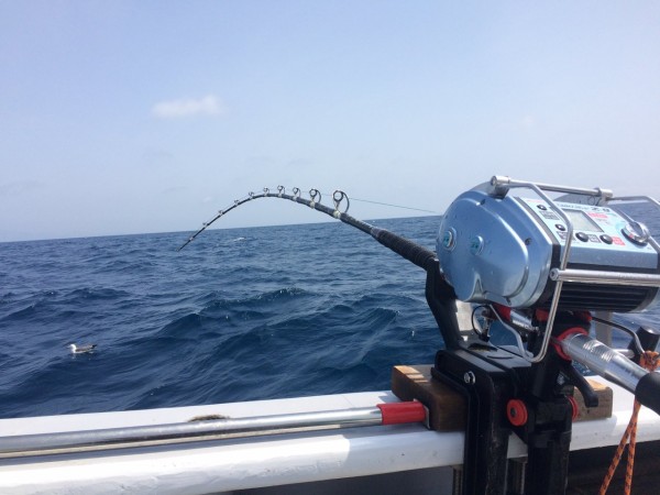 剛樹　Gダイブ　キンメ釣り用 剛樹 Gダイブ キンメ釣り用