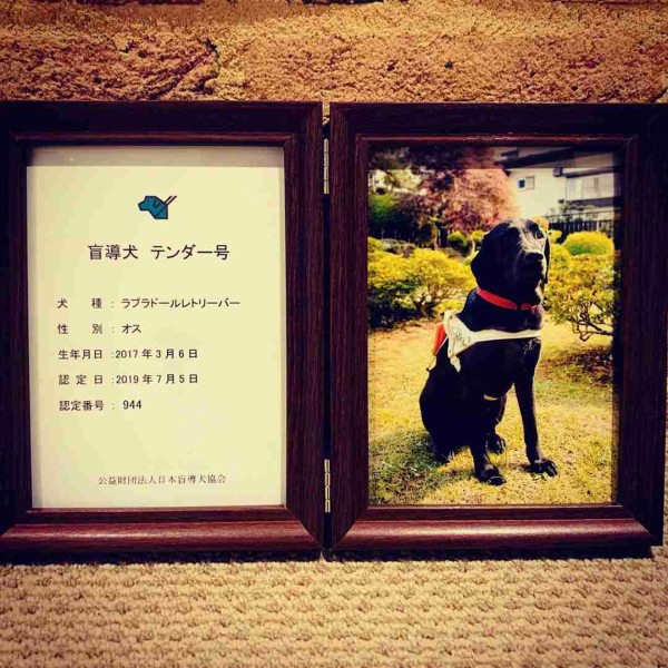 立派です 愛情の賜物 椎名桔平 パピーウォーカー として育てた愛犬が難関突破し盲導犬に ゴシップてんこもり 立派です 愛情の賜物 椎名桔平 パピーウォーカー として育てた愛犬が難関突破し盲導犬に ゴシップてんこもり