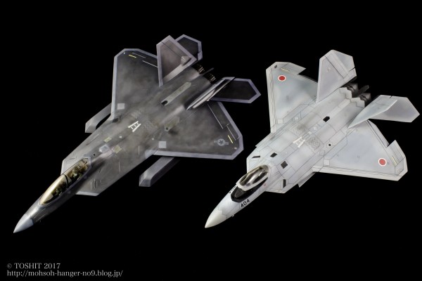 【希少品】スカイフライト　Y F-22 ラプター 希少品】スカイフライト Y F-22 ラプター
