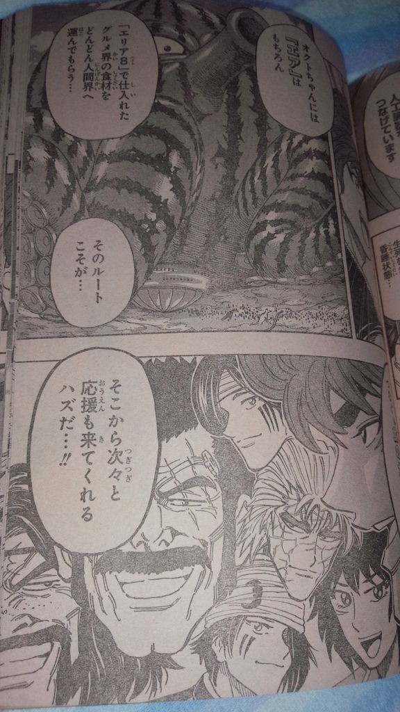 トリコ ジャンプ45号vol 2 トリコ