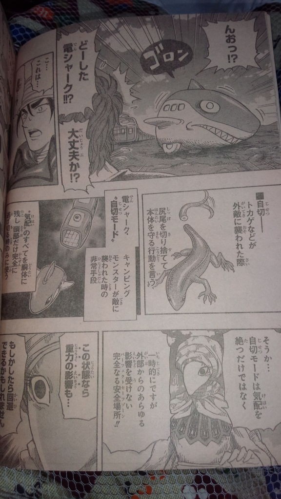トリコ ジャンプ6 7号vol 2 トリコ