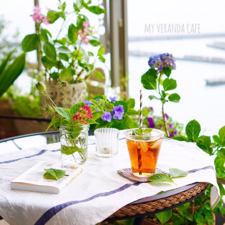 あじさいの水揚げの仕方 こころいろ 365日