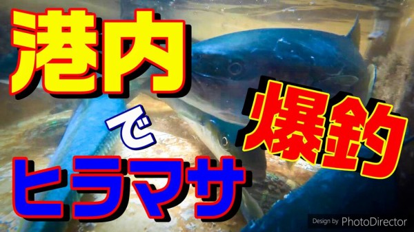 鹿島港内ヒラマサ爆釣 ヒラマサが入れ食いの鹿島港って 鹿島港魚釣園横のポイントがヤバイ 一瀬丸フィッシングガイド