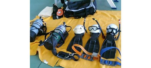 レジャーダイバーから見た海上保安官 Dolphin Dance