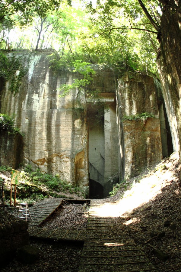 森の神殿 廃れていく夢の中で