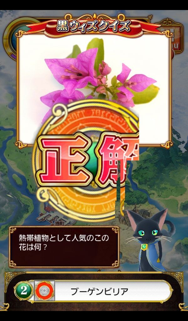 黒ウィズクイズ 熱帯植物として人気の花 紫 めしべ白 黒猫のウィズ ゲームでリハビリを楽しく Game Rehabili Net