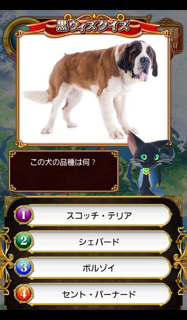黒ウィズクイズ この犬の品種は何 茶色 白 黒猫のウィズ ゲームでリハビリを楽しく Game Rehabili Net