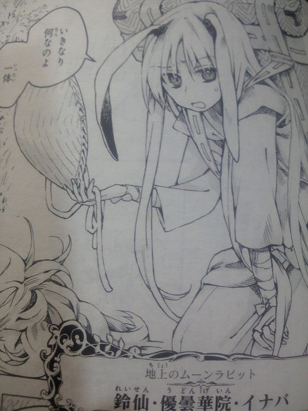 東方 鈴奈庵のうどんげが相変わらず幸薄そうで安心した 2ch東方スレ観測所