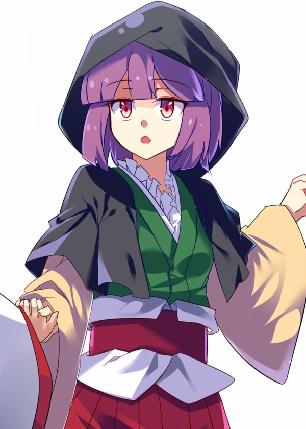 東方 稗田10代名目まではいいけど11から先はどうするのかな 2ch東方スレ観測所