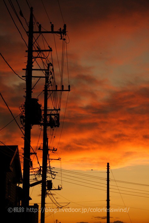 写真 夏を感じる写真を引っ張ってきた 流雲心重 ロードバイクと写真のブログ