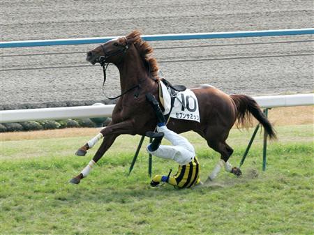 人と動物の愛情 友情 まぁじゃんcolorsブログ