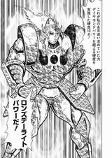 硬度10 ロンズデーライトパワー フューチャー ヴィジョン