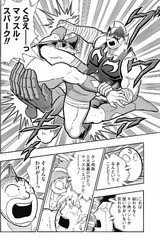 完璧無量大数軍 パーフェクトラージナンバーズ フューチャー ヴィジョン